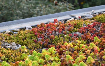 the cost of Alfington green roof installation