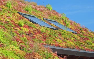Alfington living roof systems