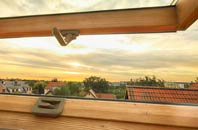 rated Alfington roof window companies